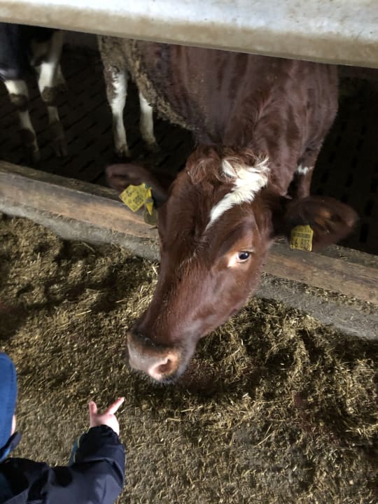 Sport & Freizeit Ferienhof Landfrieden