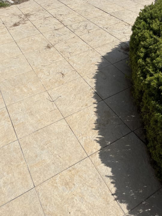 Gartenanlage Iberostar Waves Pinos Park