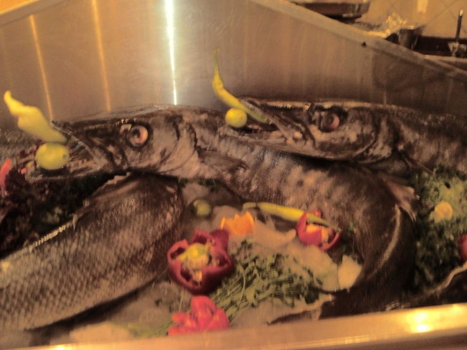 Fisch Pickalbatros Alf Leila Wa Leila Resort - Neverland Hurghada