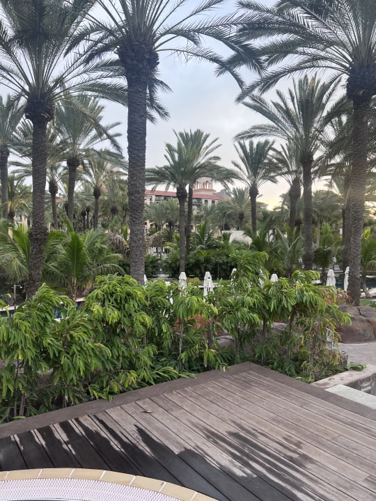 Gartenanlage Lopesan Costa Meloneras, Resort & Spa