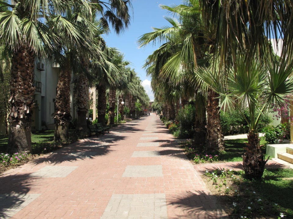 Allee VONRESORT Golden Beach