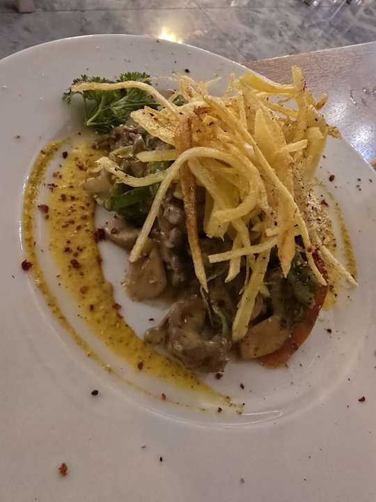 Gastro Seashell Vega