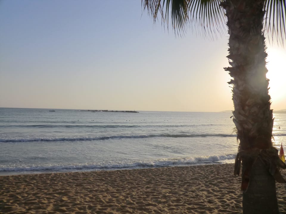 Strand von der Strandbar Top Hotel