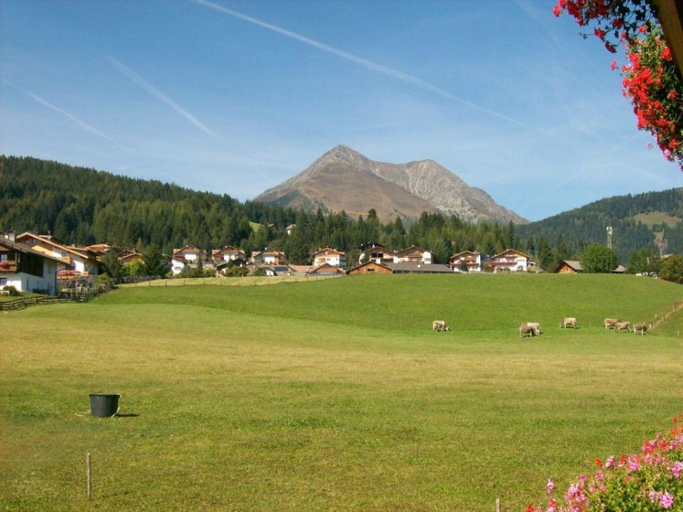 Aussicht von unserem Balkon Hotel Fichtenhof