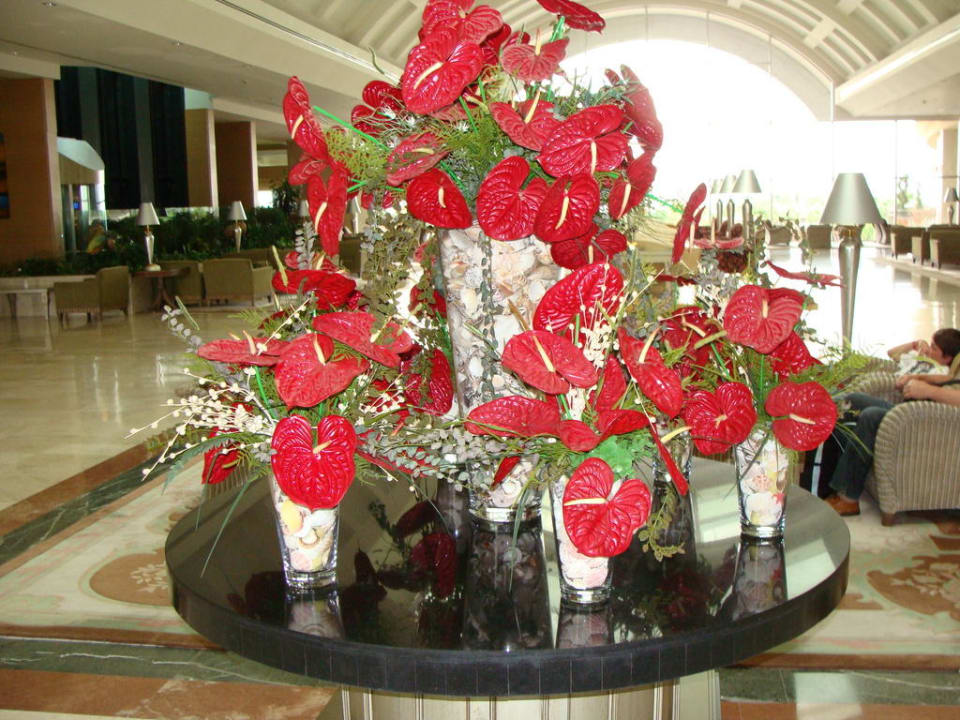 Lobby Eingang Hotel Miracle Resort