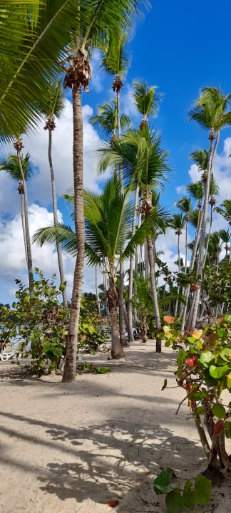 Strand Bahia Principe Luxury Bouganville