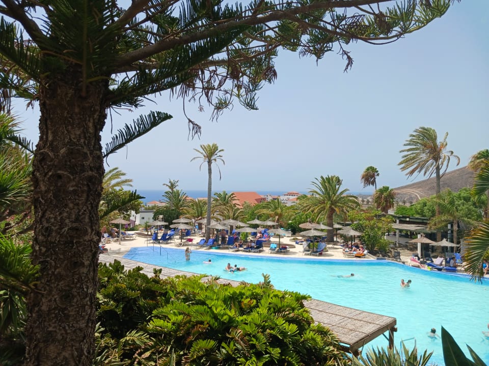 Pool allsun App.-Hotel Esquinzo Beach