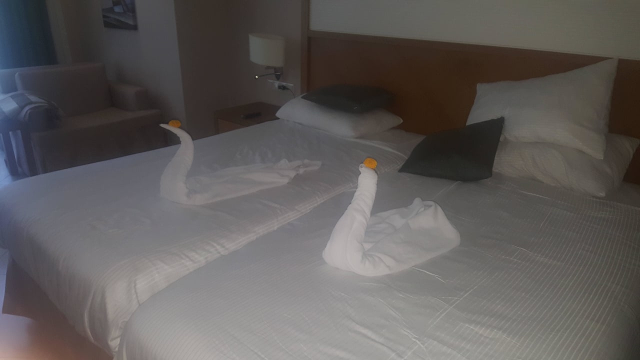Immer neue Handtuchmotive  Paloma Oceana