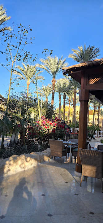 Gartenanlage Makadi Spa - Adults only