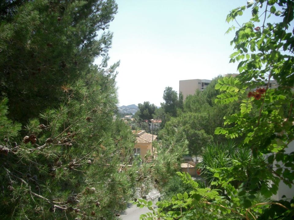 Ausblick vom Balkon Valentin Somni Hotel & Suites