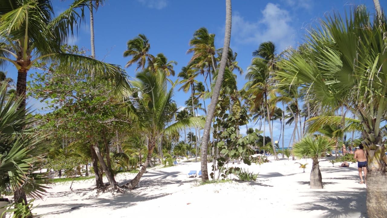 Ein Traum... Villas Bavaro Resort & Spa