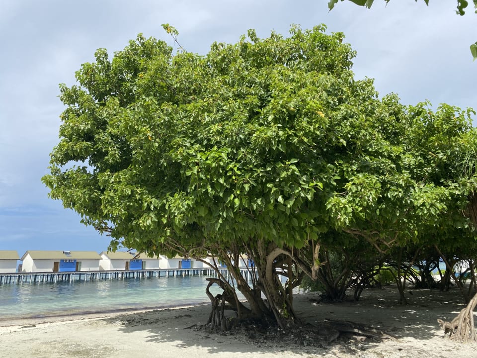 Strand South Palm Resort Maldives
