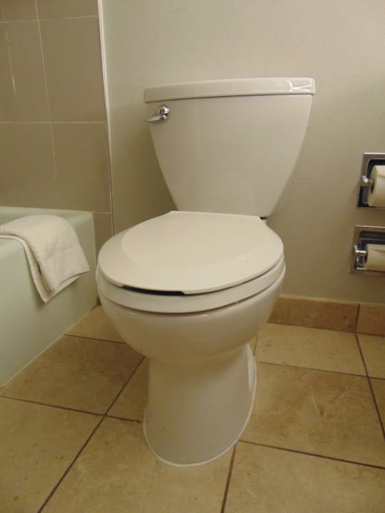 Zimmer Hotel Hilton Atlanta