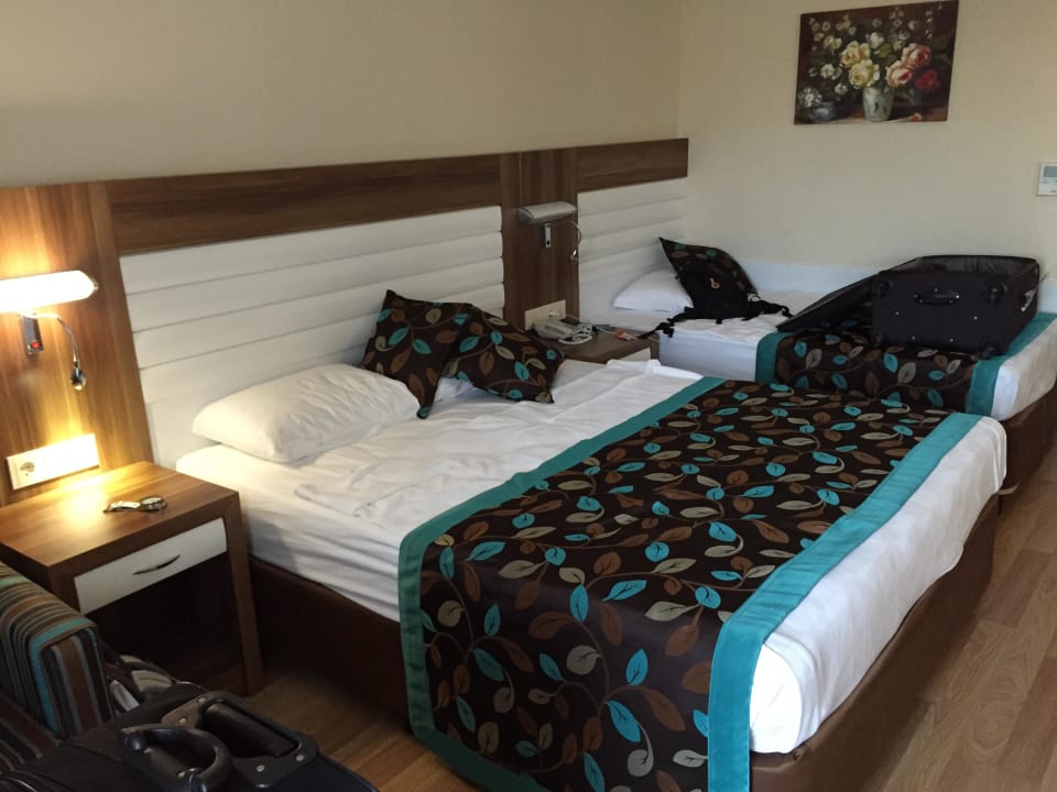 Bett Dizalya Palm Garden