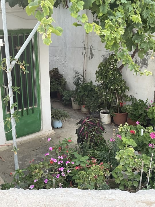 Gartenanlage Hotel Anthoula Village