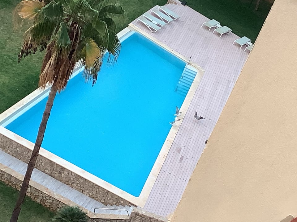 Ausblick Hotel Bonanza Playa