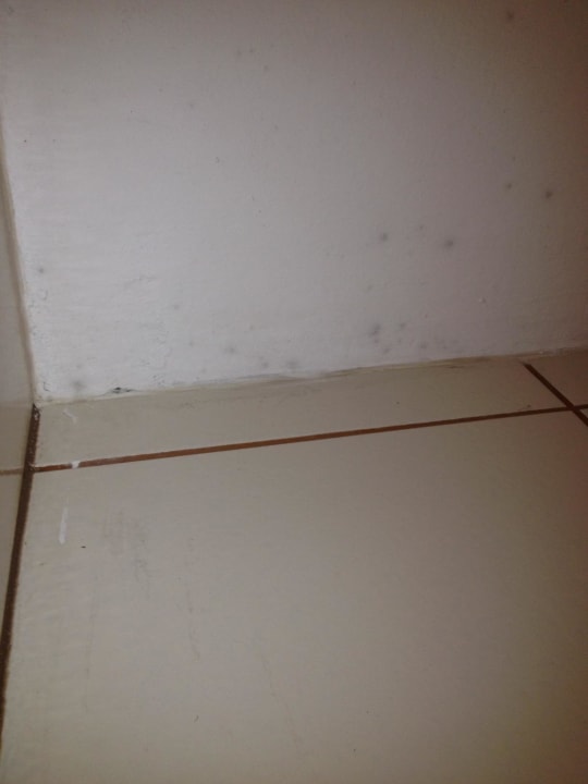 Duschdecke Schimmel Sonnenwald Hotel