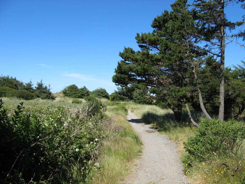 Ireland's Rustic Lodges in Gold Beach, Oregon Hotel Ireland's Rustic Lodges