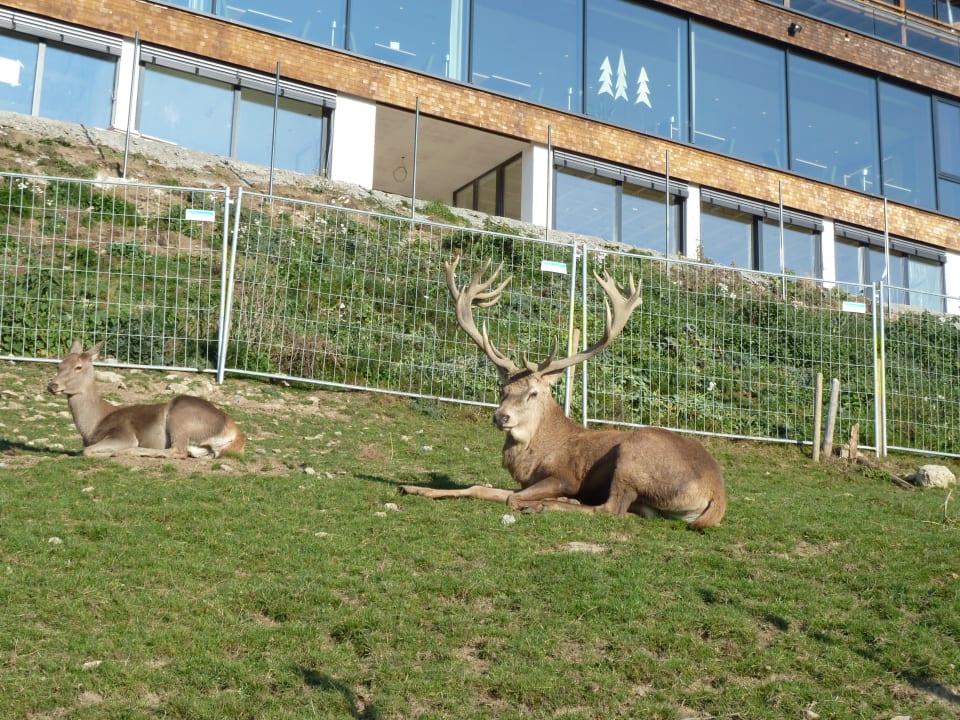 Außenansicht Bergkristall - Mein Resort im Allgäu