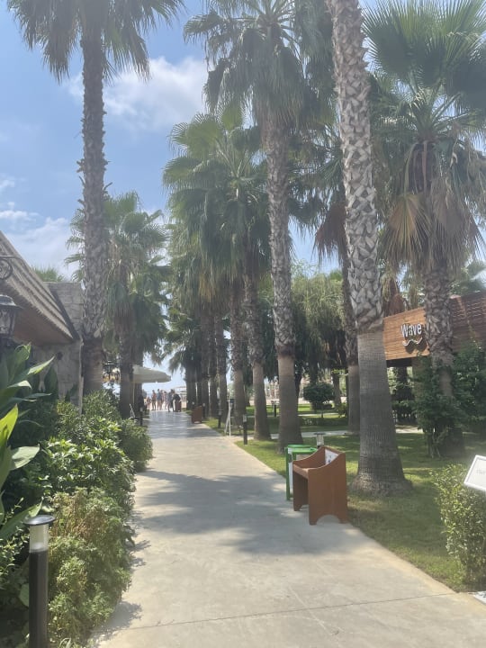 Gartenanlage Hotel Royal Garden Beach