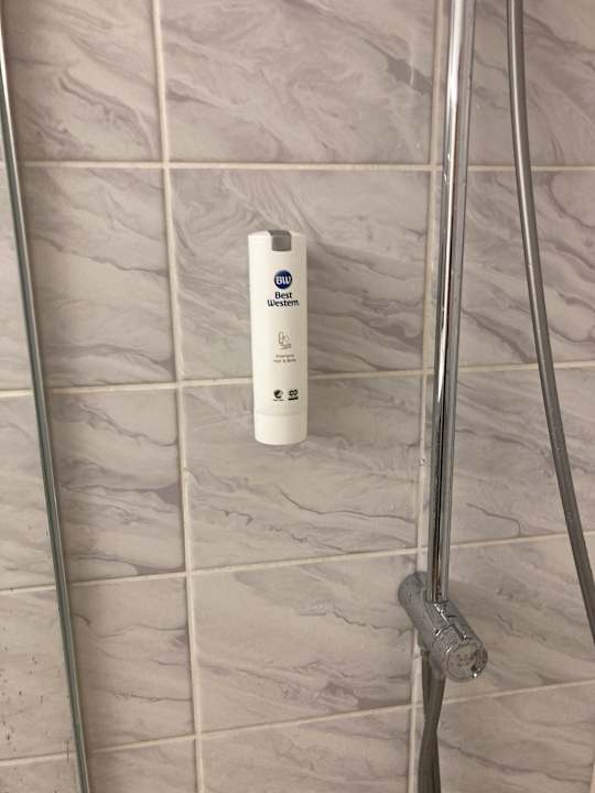 Zimmer Best Western Parkhotel Brehna - Halle