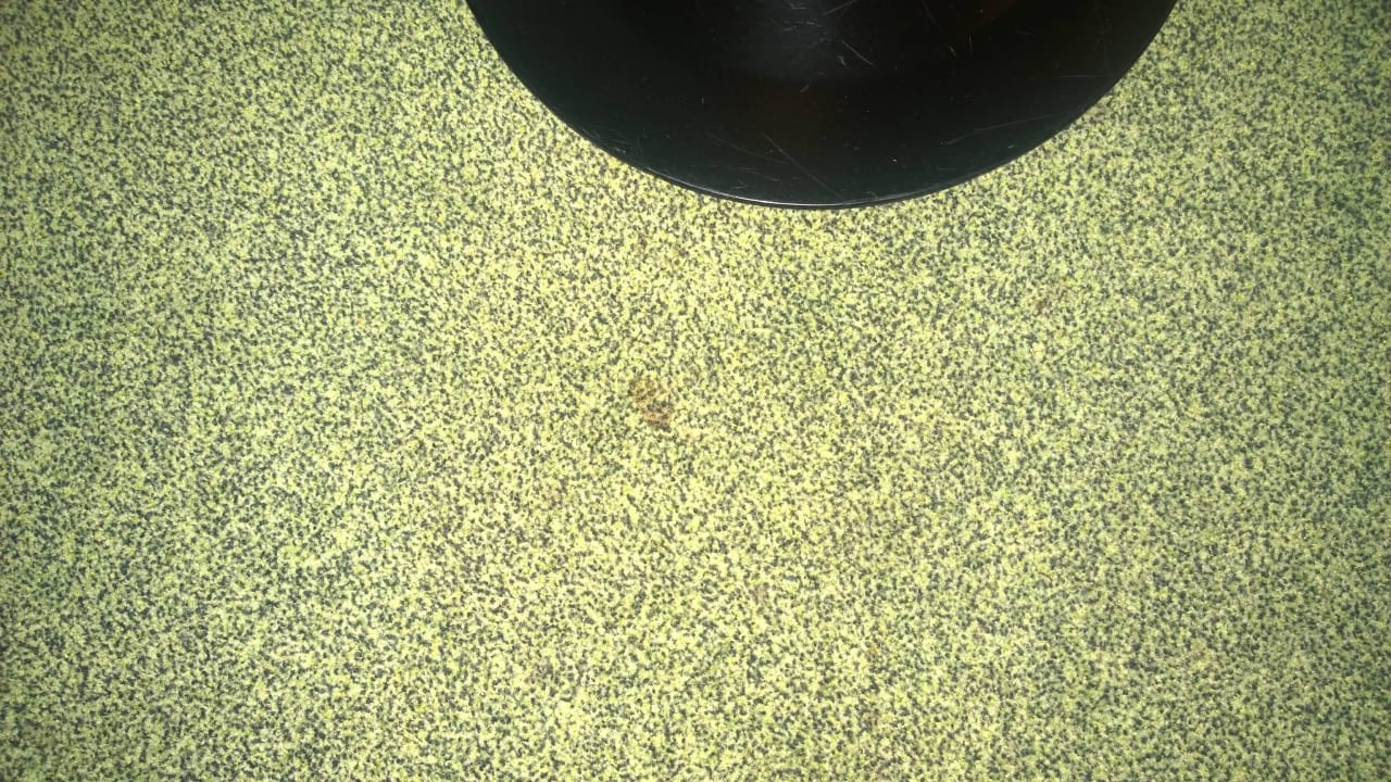 Fleckiger Teppich Hotel Berlin, Berlin