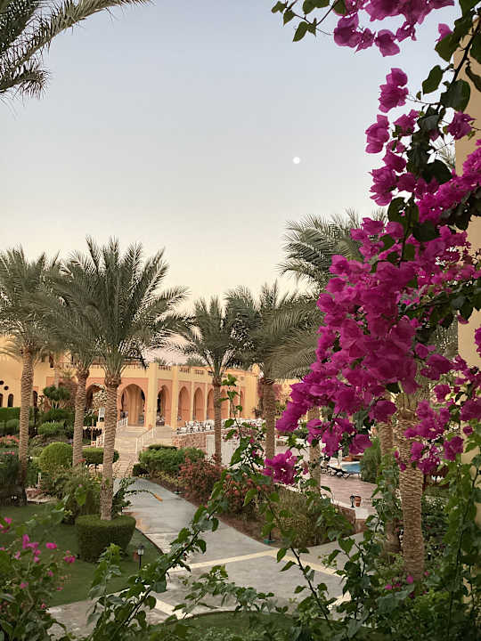 Gartenanlage Steigenberger Coraya Beach - Adults only