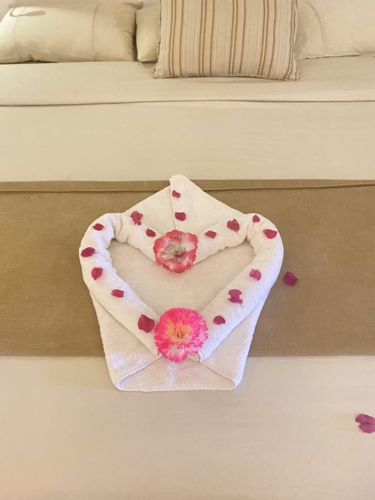 Zimmer Makadi Spa - Adults only