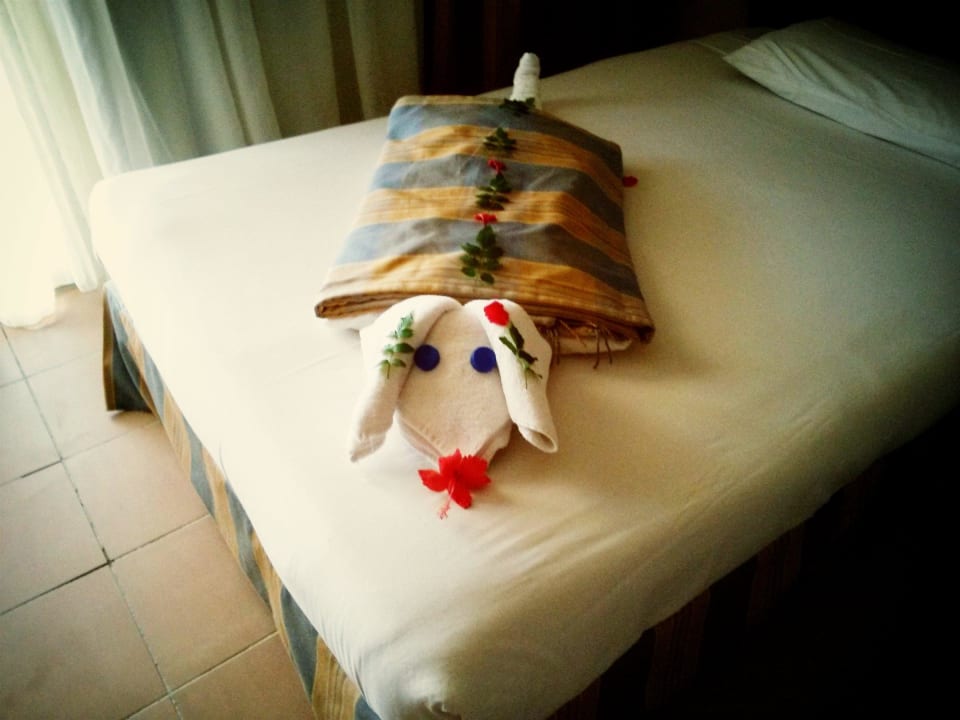 Кто не понял - это свинка Stella Beach Resort & Spa Makadi Bay