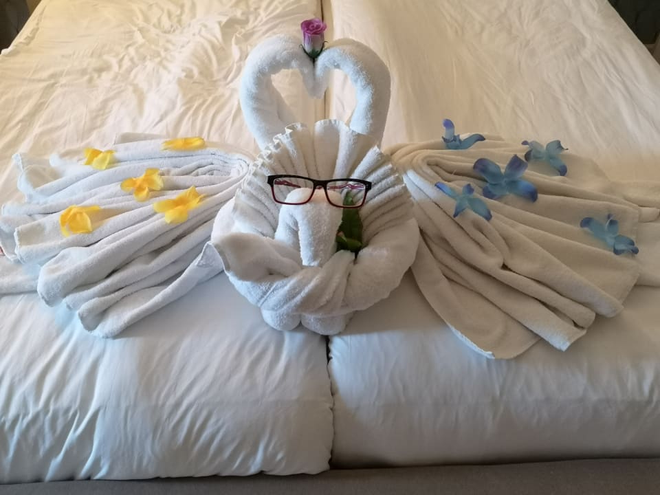 Zimmer Sentido Trendy Verbena Beach