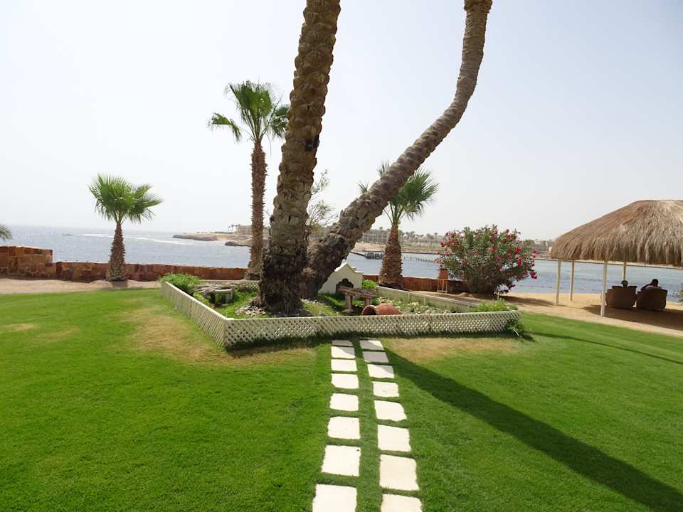 Gartenanlage Steigenberger Coraya Beach - Adults only