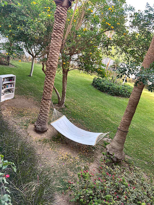 Gartenanlage Desert Rose