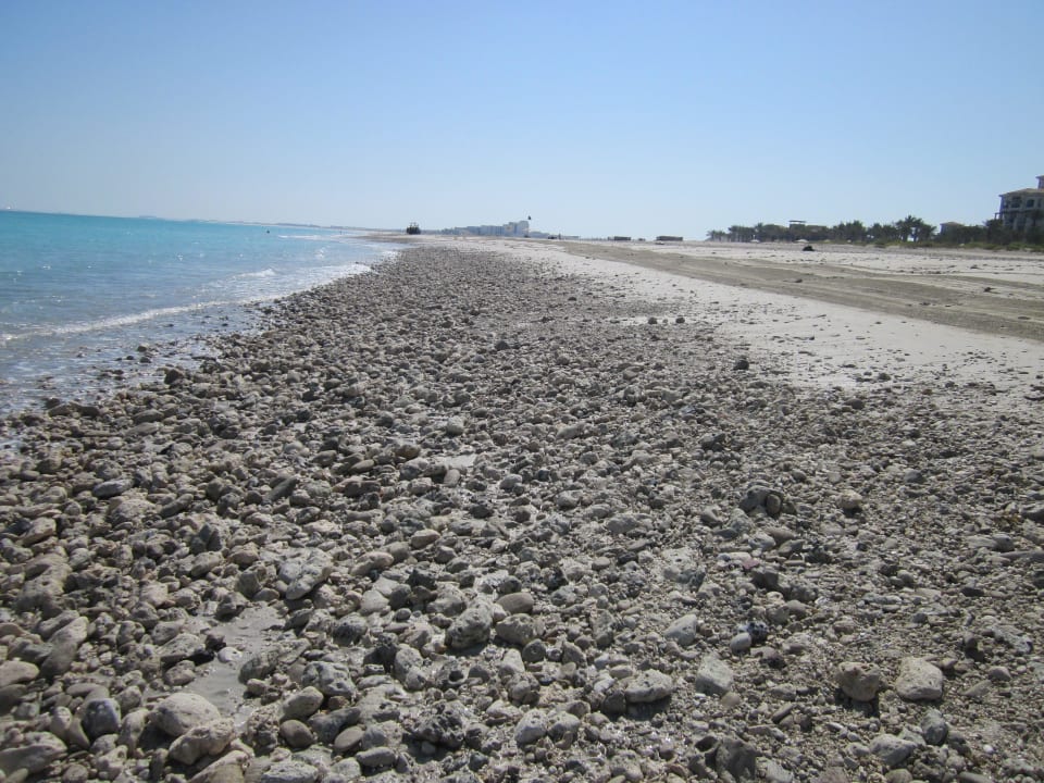 Beispiel im Mai The St. Regis Saadiyat Island Resort, Abu Dhabi