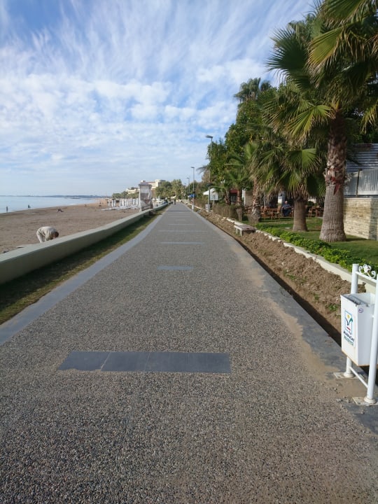 Strand Acanthus Cennet Barut Collection