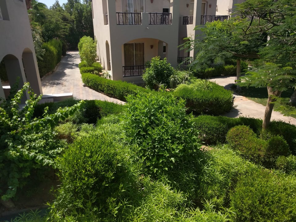 Hinter unserem Zimmer Iberotel Makadi Beach