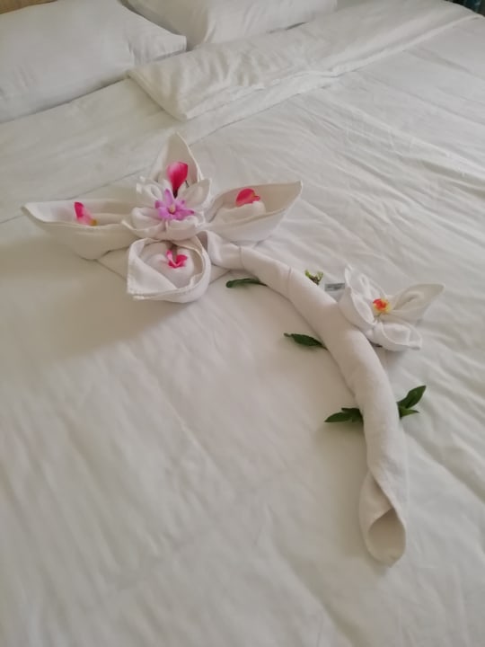 Zimmer Gravity Hotel & Aquapark Sahl Hasheesh