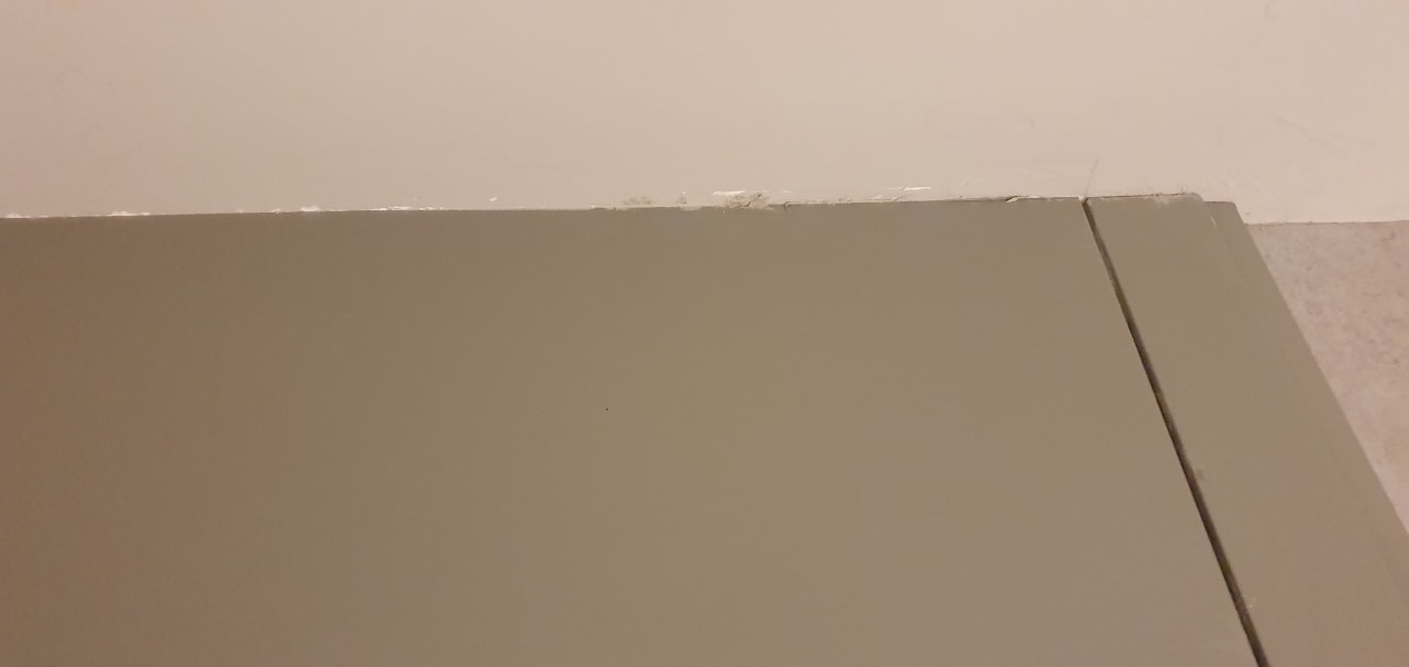 Zimmer Paloma Finesse