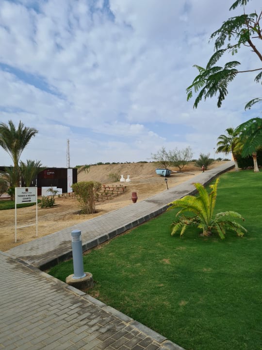 Gartenanlage Steigenberger Coraya Beach - Adults only