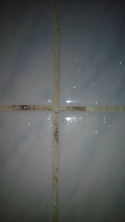 Schimmel in den Fliesenfugen Hotel Henrietta