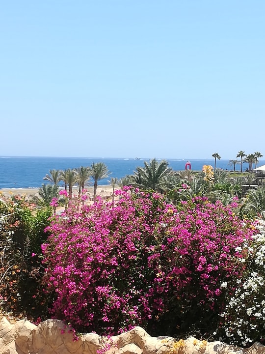 Ausblick Sharm Grand Plaza Resort