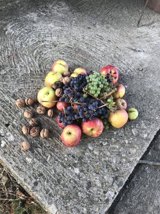 Sonstiges Winzer-Bauernhof Felbinger