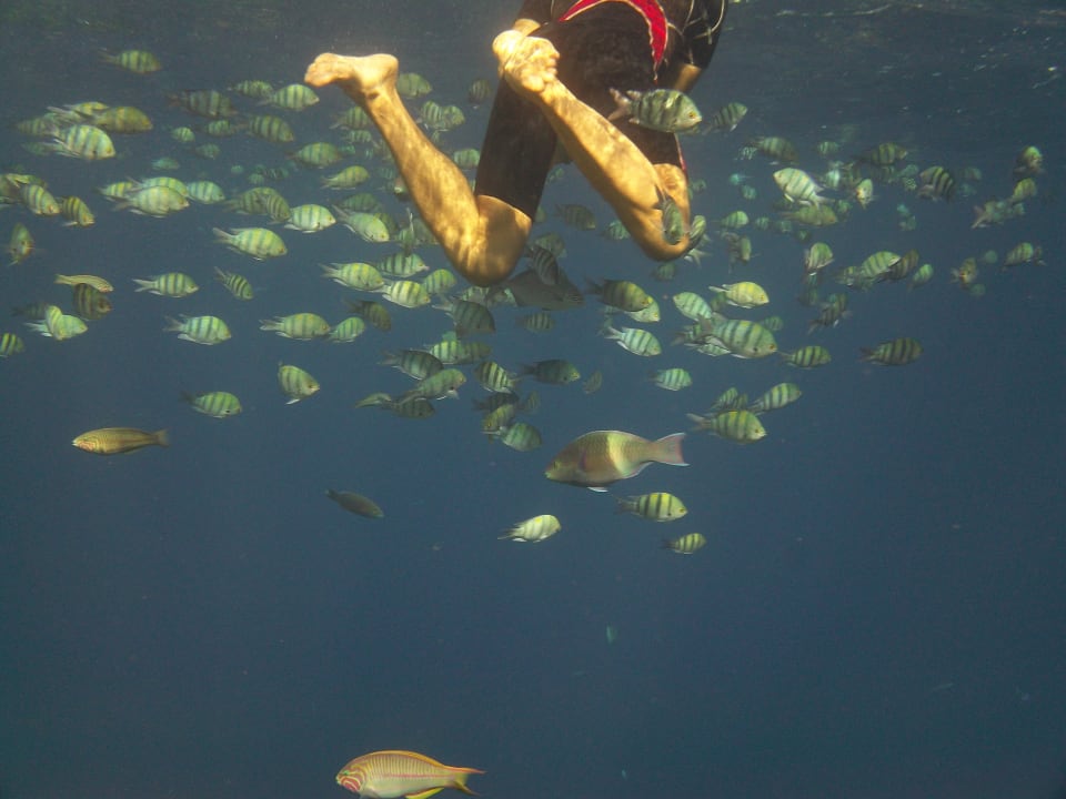 Sport & Freizeit Serenity Alpha Beach