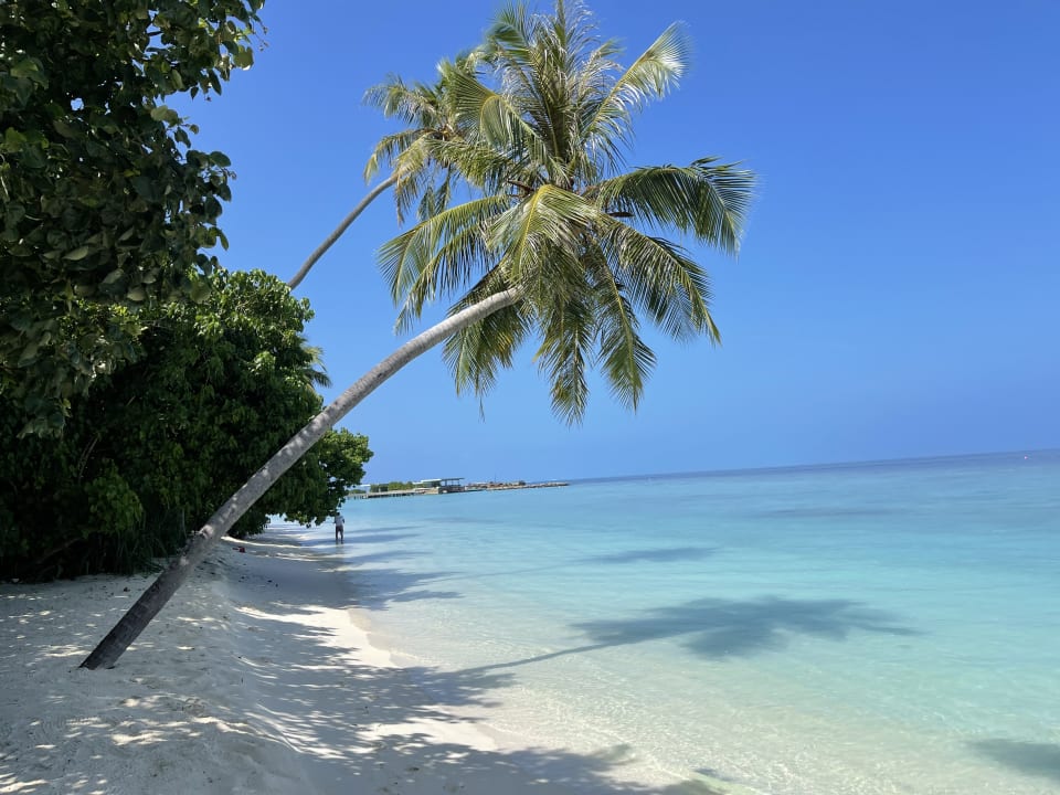 Strand Alila Kothaifaru Maldives