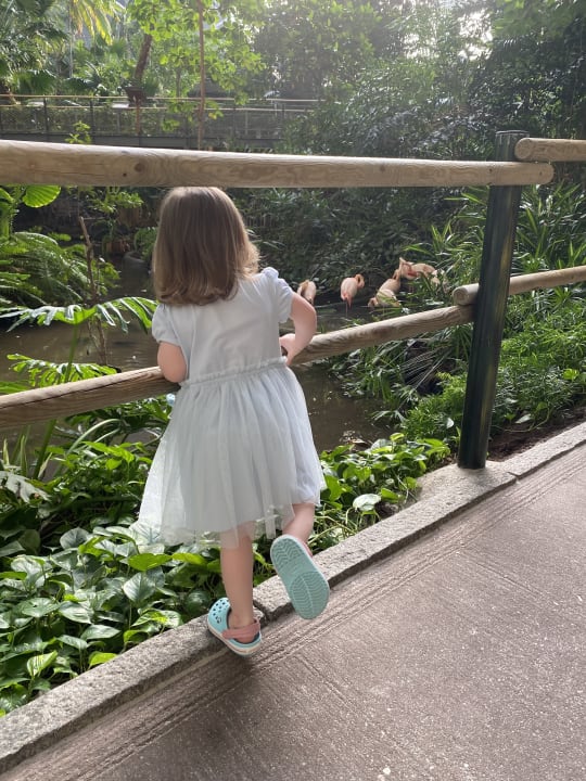 Gartenanlage Tropical Islands Resort