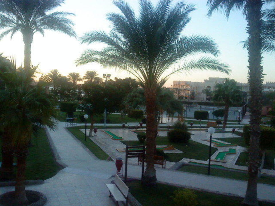 Вид с номера Beach Albatros Resort
