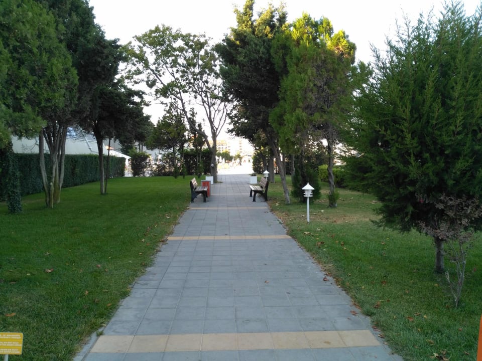 Garten AluaSun Helios Beach