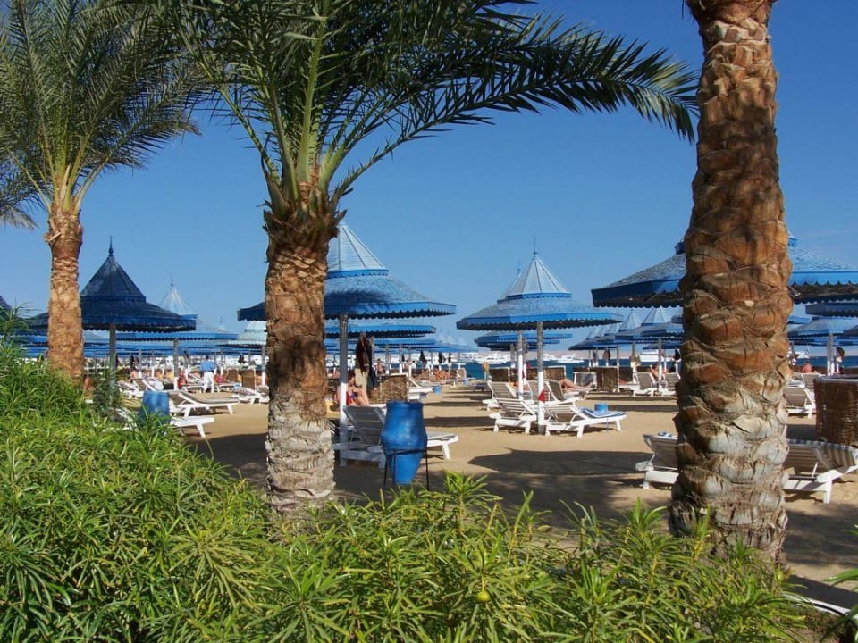Strand The Grand Hotel Hurghada