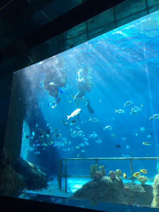 Sonstiges The Land of Legends Kingdom Hotel