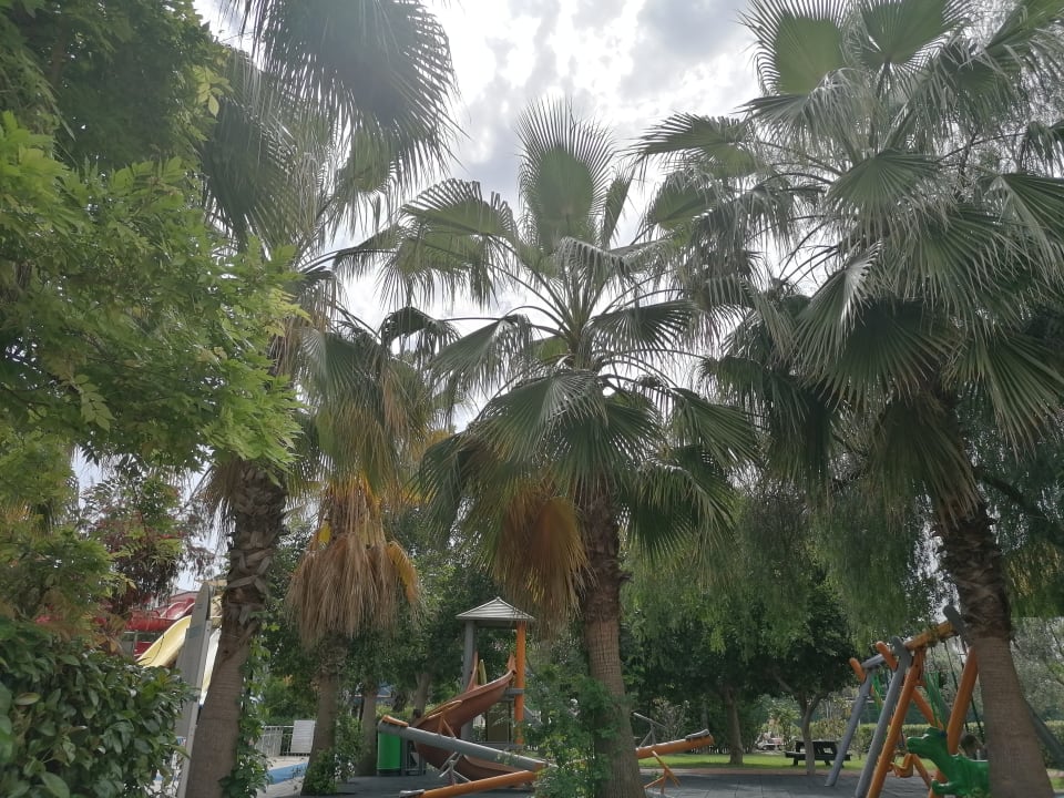 Gartenanlage Hane Family Resort