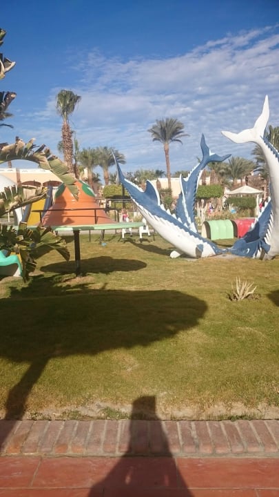 Immer sauber Beach Albatros Resort